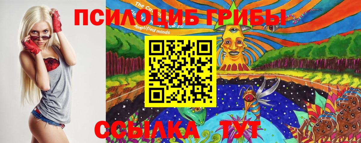 Сергиев Посад  Галлюциногенные грибы Magic Shrooms  Вход с VPN 